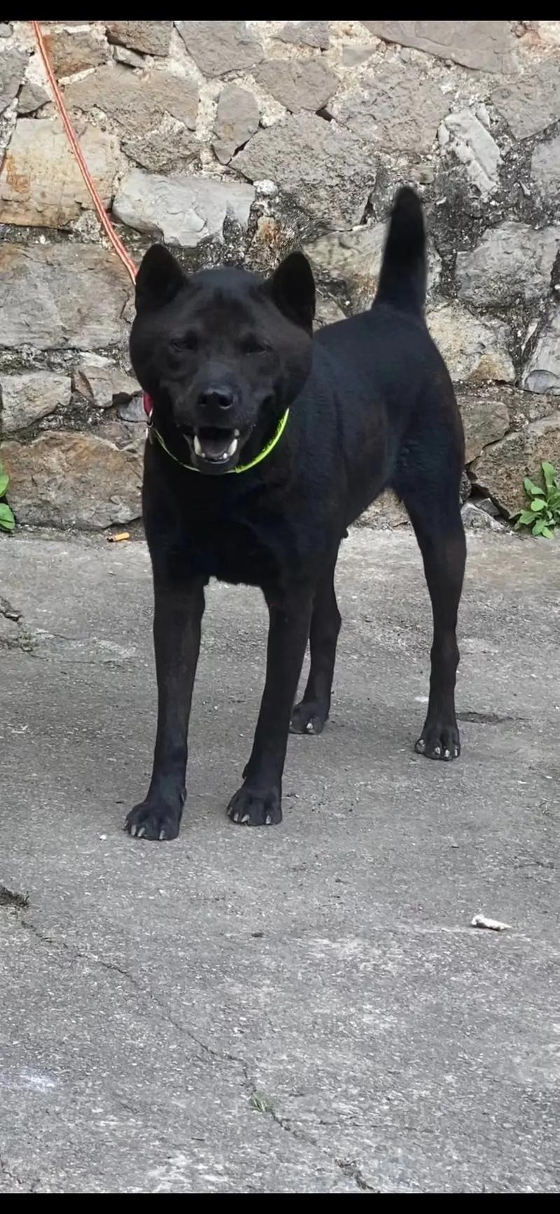 mgl 0004 苏畅 吴梦梦 乐器细节丰富而不刺耳