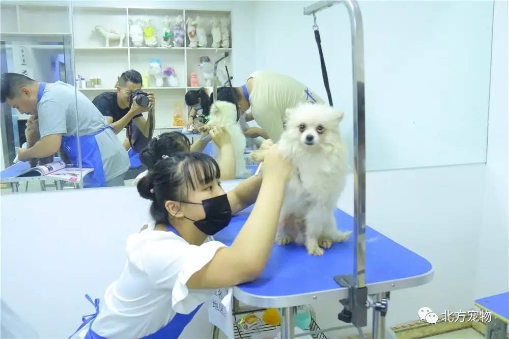 每视频 如何制作视频、可以补充说明