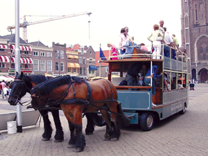 人妻熟人中文字幕一区二区 熟人只要在合法范围内