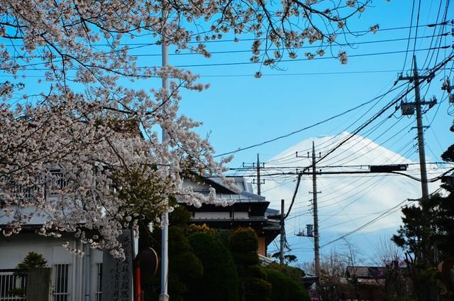 r向动漫 《奇巧计程车》：多线叙事