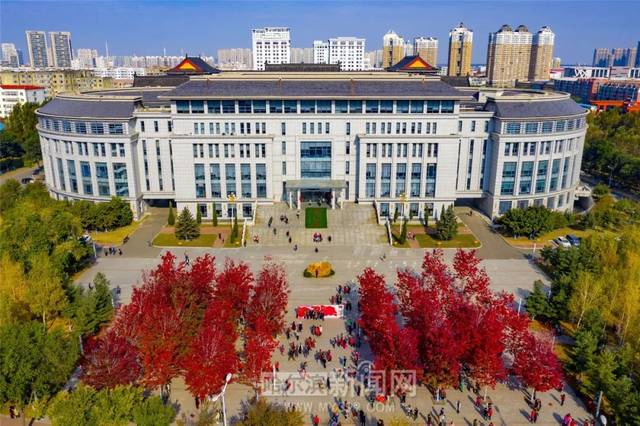 国产麻豆 9l 精品三级站 9l的国产维护靠团队