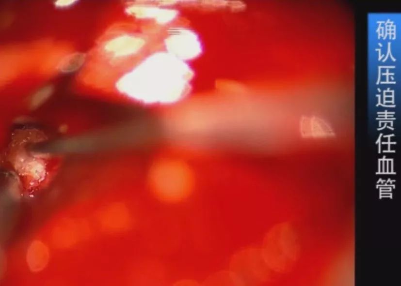 +火 影 忍 者 同 人 本 子 在 线 同人主流的本线同人创作平台