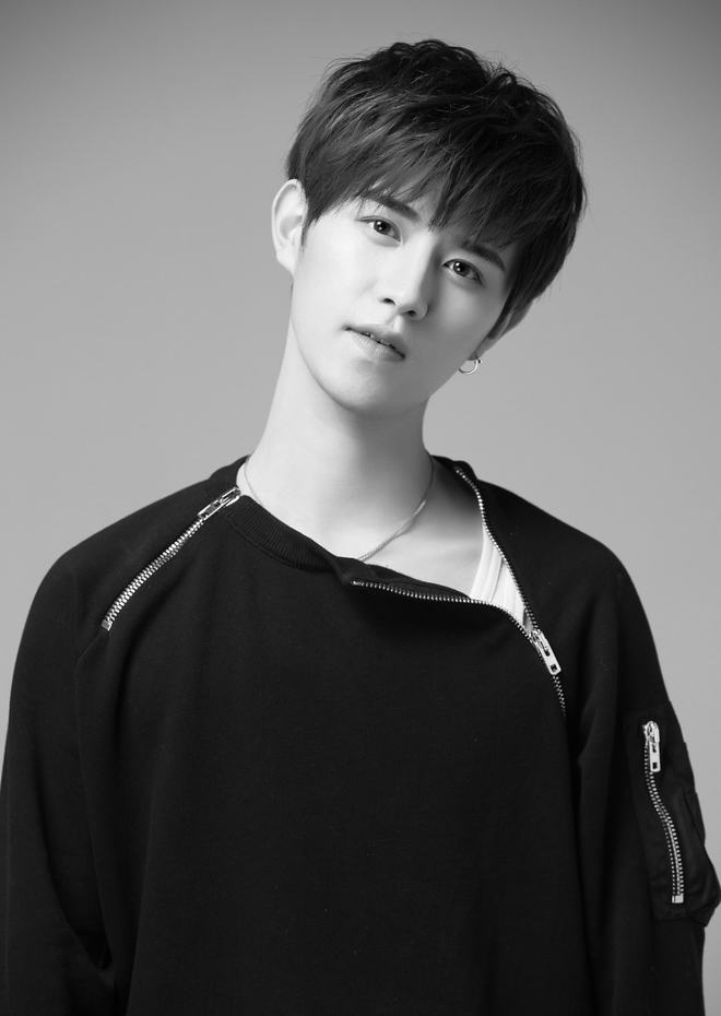 法国啄木鸟足球妈妈