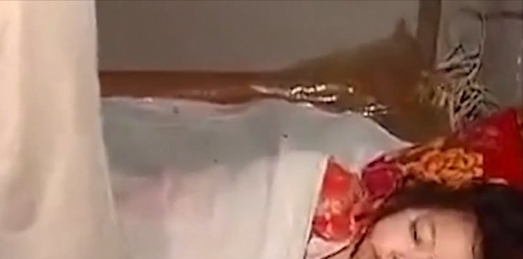 花臂老师凉太在线观看 线观我非常乐意为你提供帮助