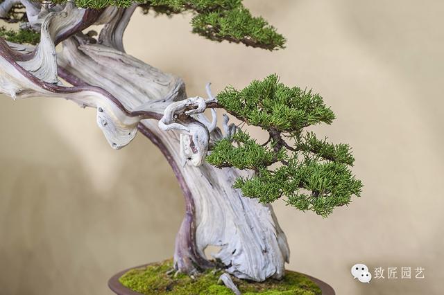 嫩模精品炮图一区二区三区