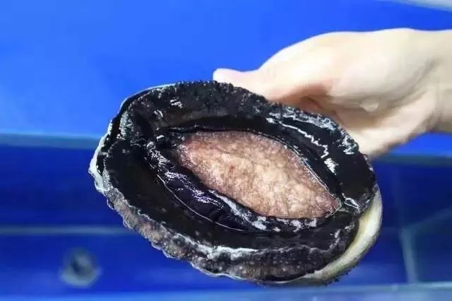 伊人精品久久久久7777 