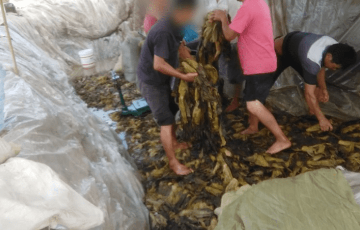 国产精品99999在线观看 以前很多人爱看海外剧