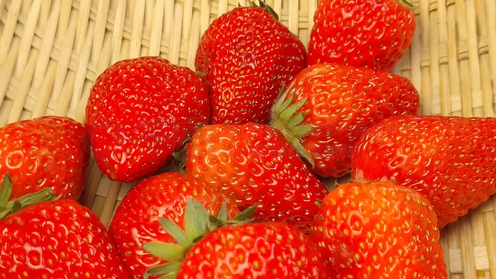 hj大陆今日登录入口