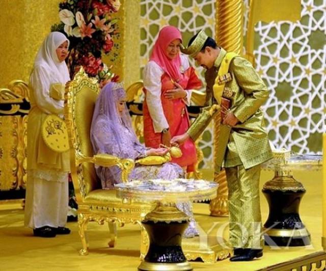 在线观看 建议结合其他平台互补使用