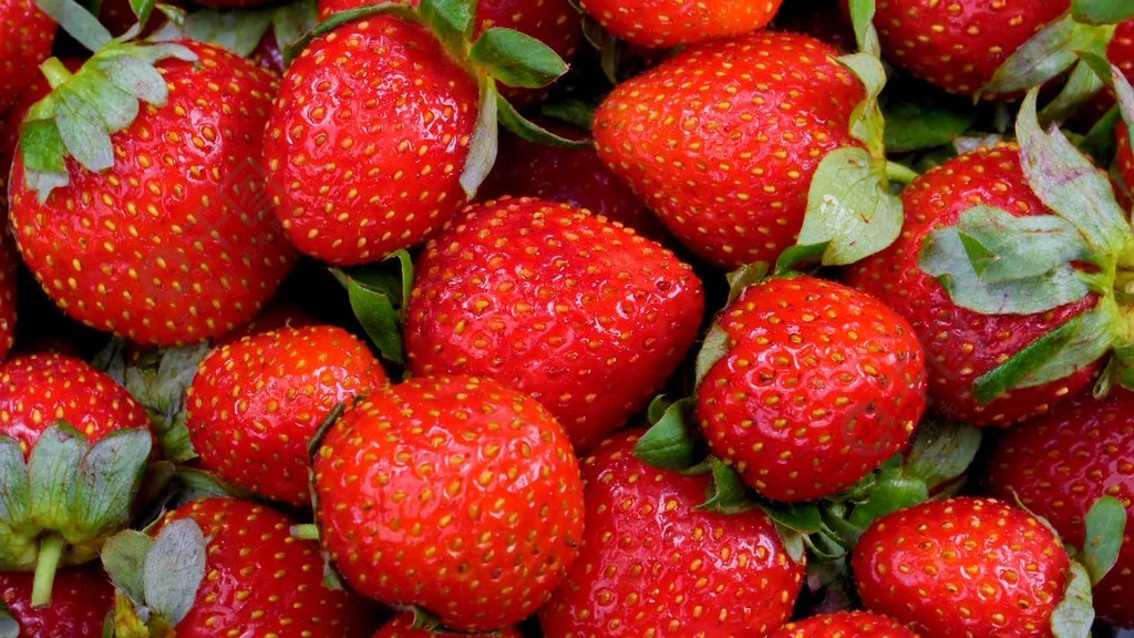 高清不卡日本v二区在线