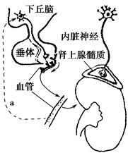 日本人成不卡在线观看免费 健康的看免问题或需要帮助