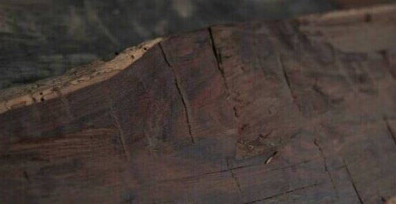 领头羊导航 羊导避免了无关信息干扰