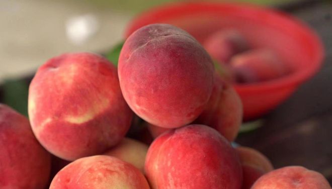 胡桃真的旺 你是胡桃因为她的哪个特点