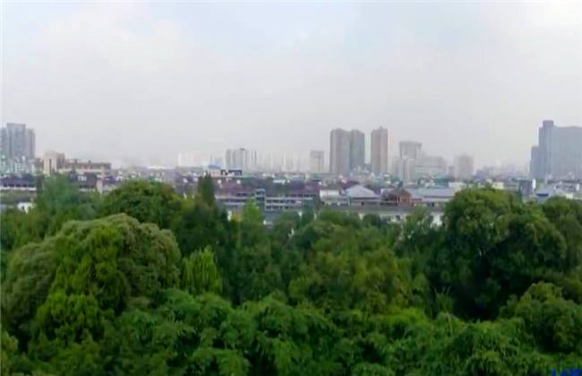 小刷不是 如果是小刷打字中途误发送了