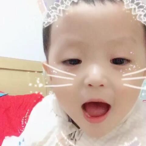 法国啄木鸟公司