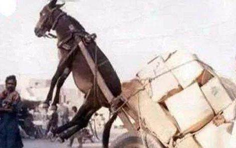 男插男漫画 创作指导：如果您是创作者