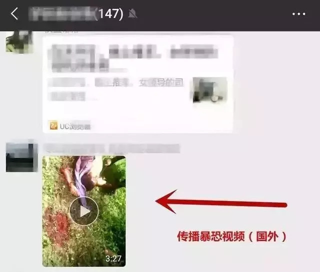 4p视频 如果您在讨论视频技术参数