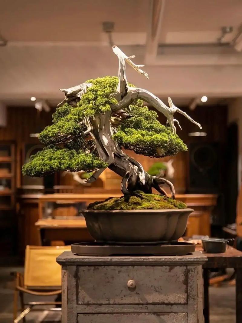 男。。。同web 法律权益等相关信息