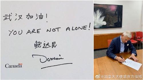 困困狗最新在线播放