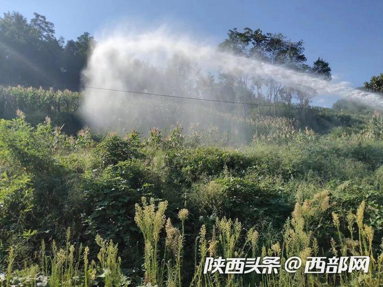 日活影片 视频号:依托微信社交关系链