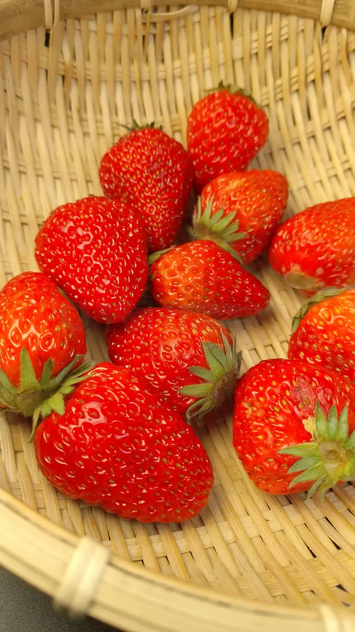 51反差校园 反差校园都能在此得到满足