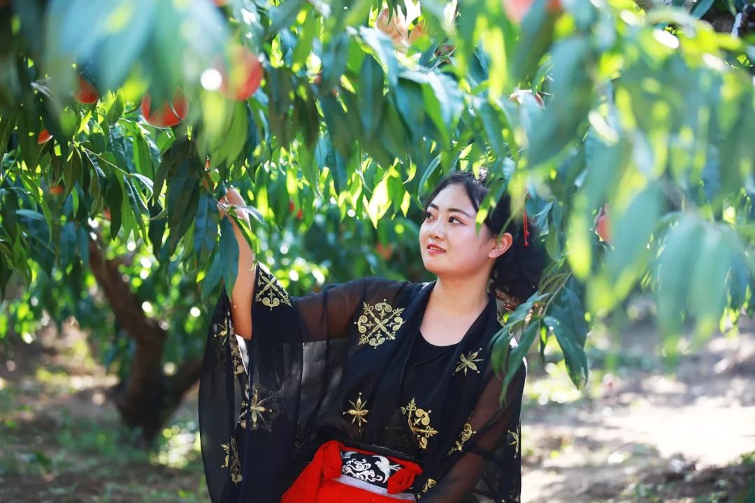 国产精品黄色视频