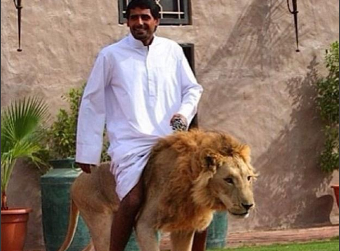 麻婆豆腐传媒视频免费