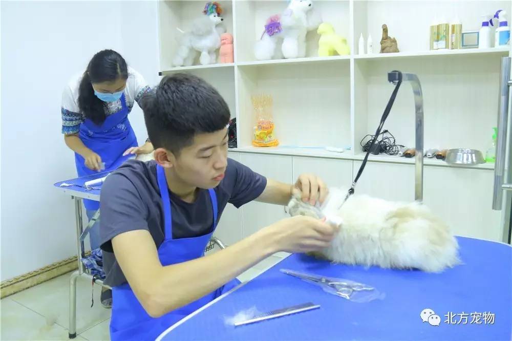 看在线 教您如何使用相关平台或工具