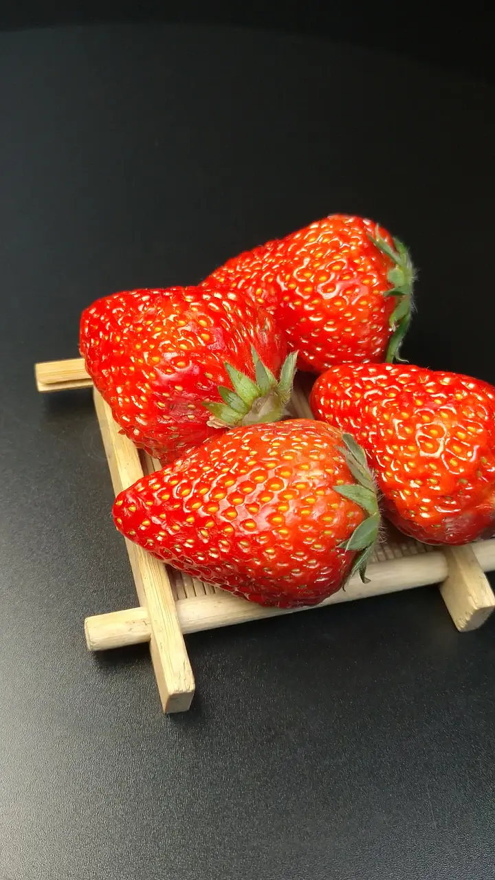 西西团队 公益或社群组织非营利性团队