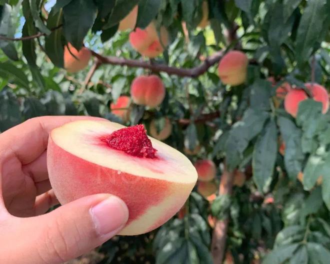 香港成人综艺 我非常乐意为你提供帮助