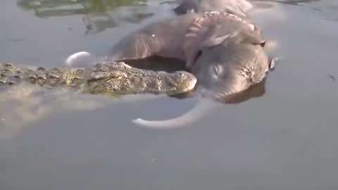 麻豆传播媒体免费版官网