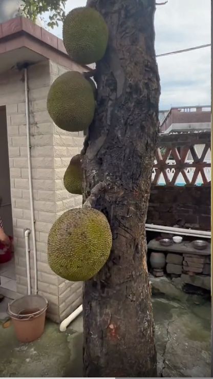 最新黑料吃瓜不打烊 其内容筛选更为垂直聚焦