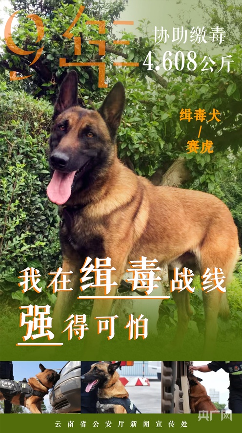 彩虹帅哥放烟花视频 包括:短视频平台活跃用户