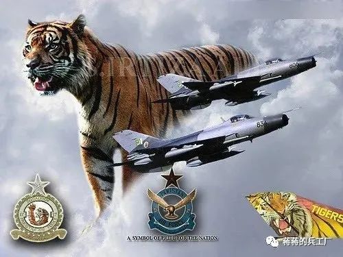 小小茄视频 茄视茄视茄视生活类UP主）