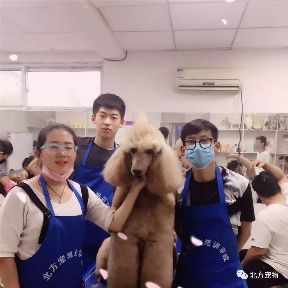 小小茄视频 茄视茄视茄视生活类UP主）