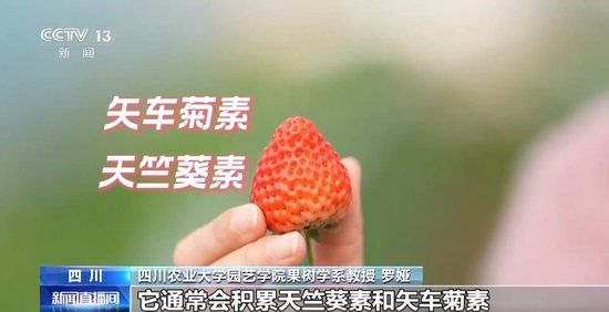 网曝门入口官网 门入增强信息可读性