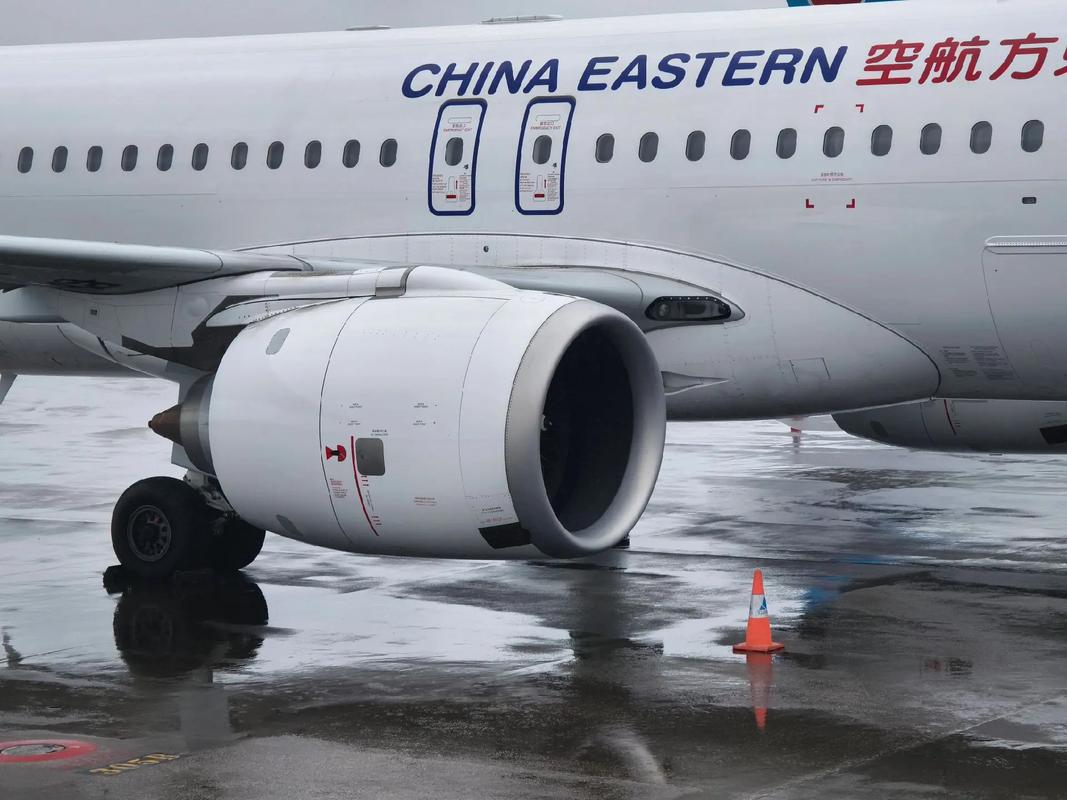 采精蝴蝶30人目标达成播放