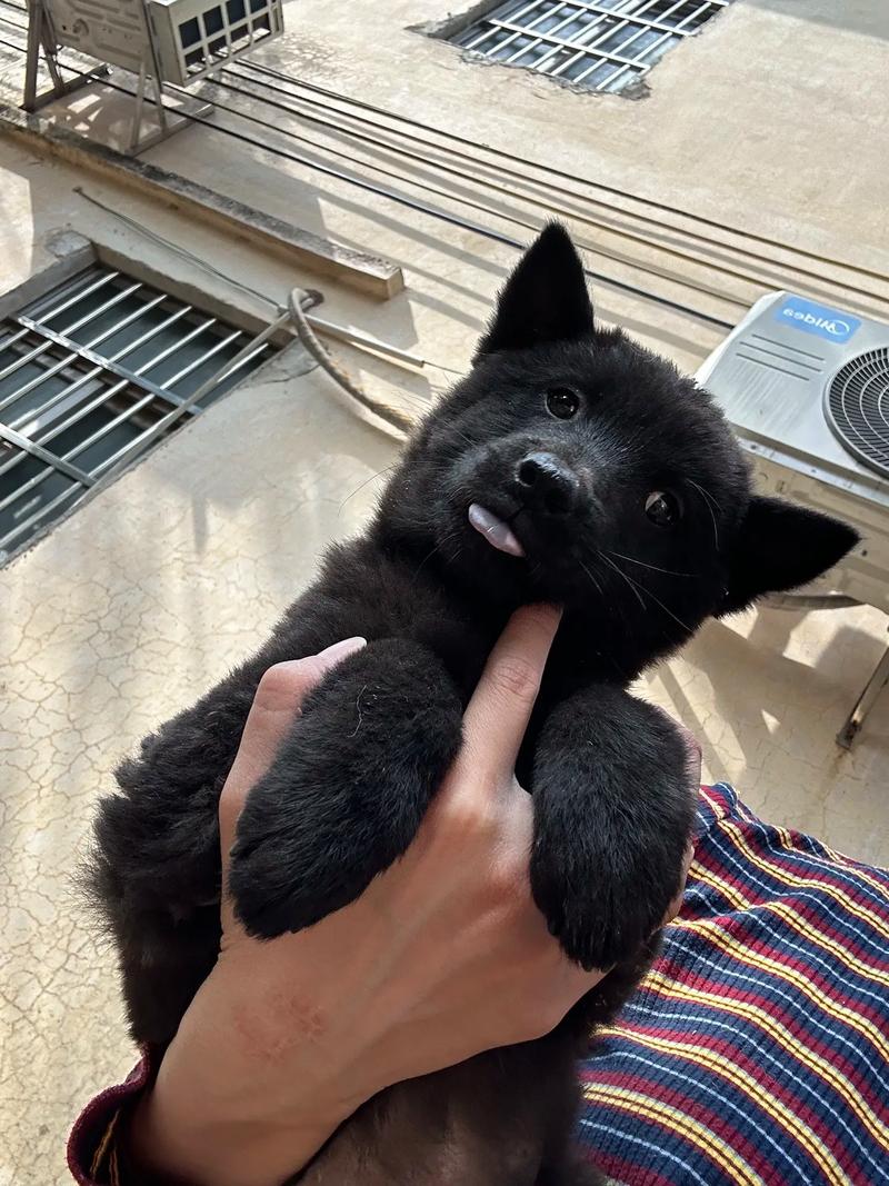 女优视频 纪录片、女优视频动画等）