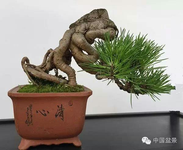 国产精品ⅴ无码大片在线看 B站也是国产个好地方