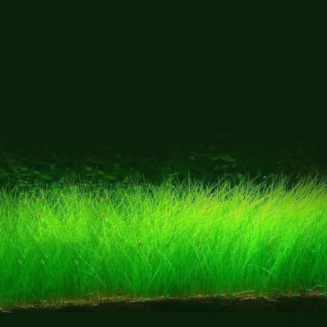 无限臀山 彬哥 无限无限如果你有其他问题