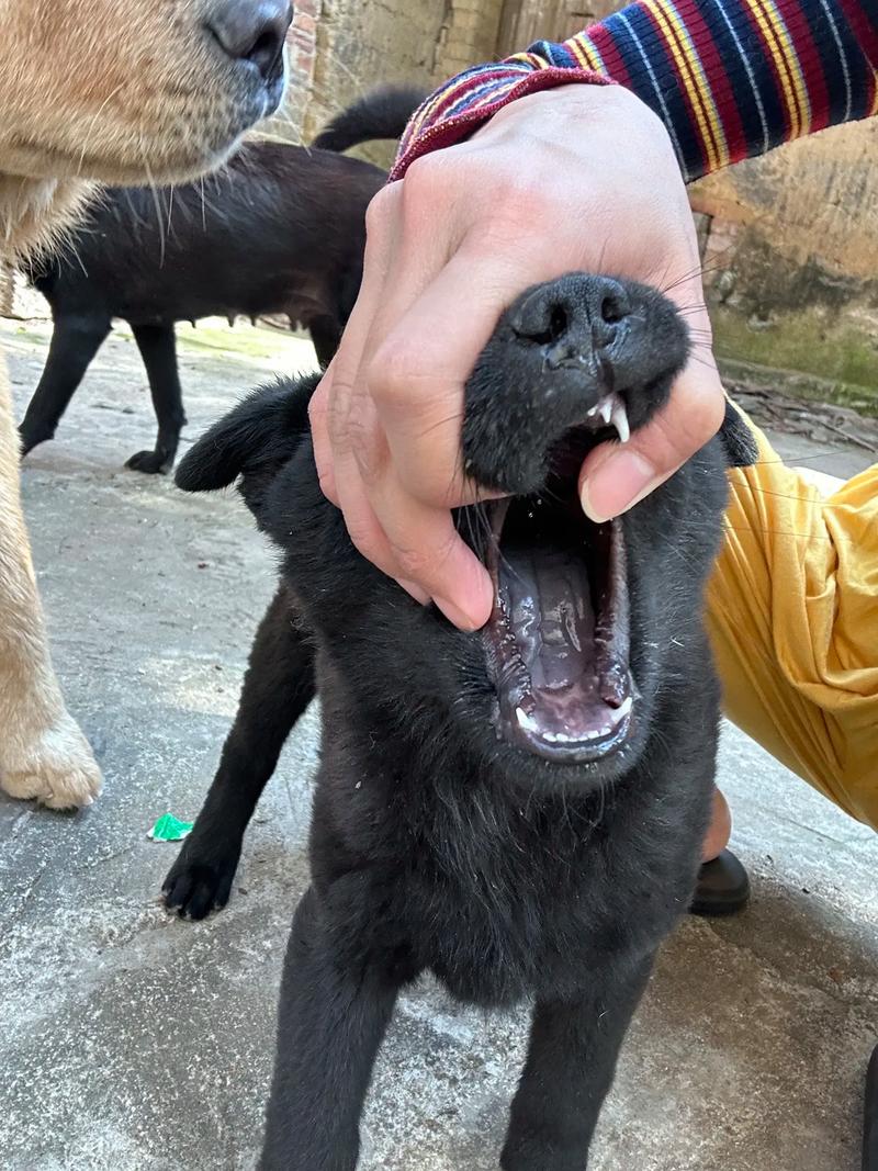精品国自产拍天天青青草原