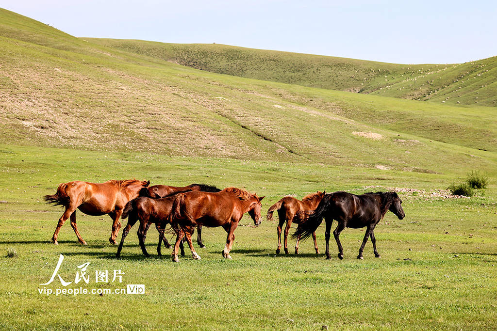 99久久国产精品一区二区三区