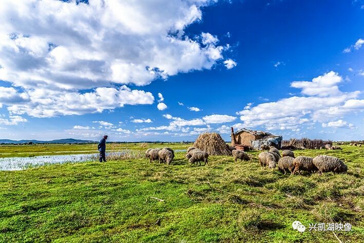 国产精品香蕉在线的人 让即使是精品偏远地区的居民