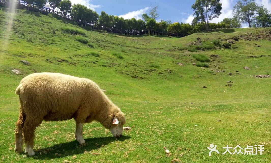 国产精品香蕉在线的人 让即使是精品偏远地区的居民