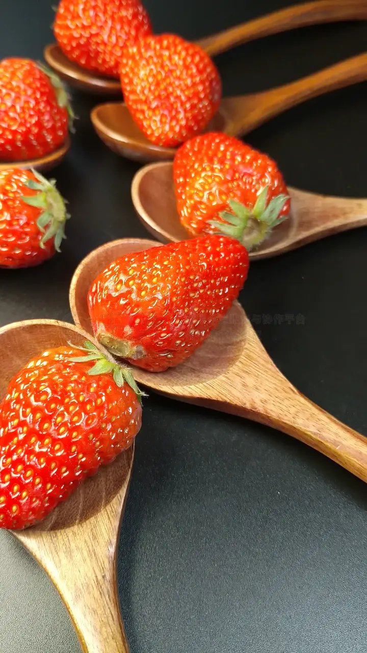 樱花影视 含广告”的樱花影视模式