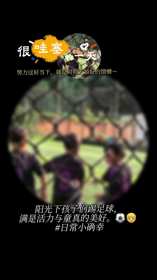 国产高清-国产av