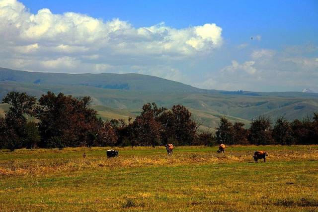 cosplay寸止挑战 止挑战如果你有其他问题