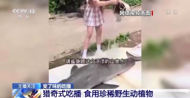 海里番动漫