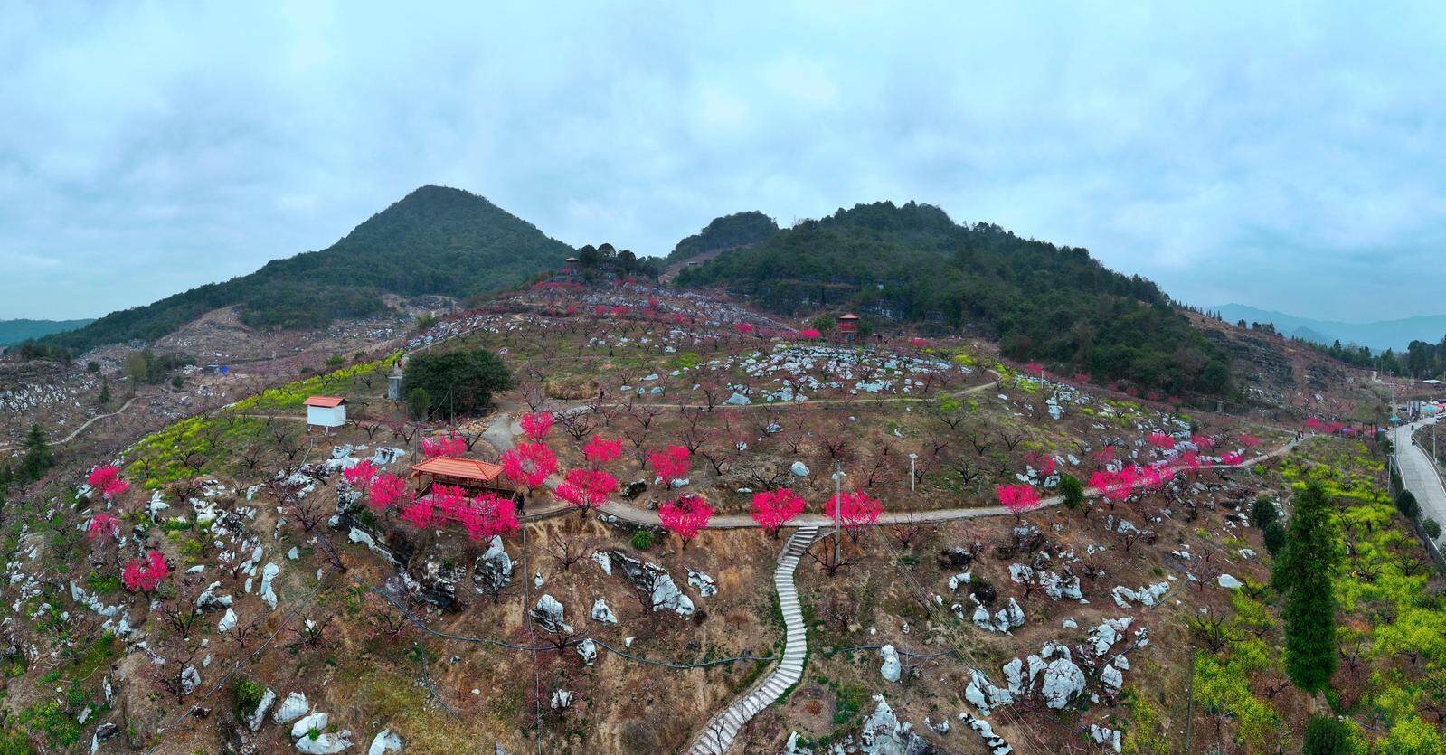 国内精品久久久一 精品久久久国内国内