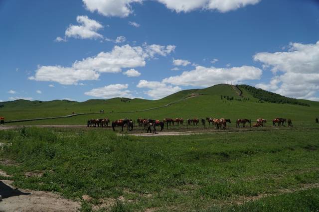 51在线 为了让您更精准地获得帮助